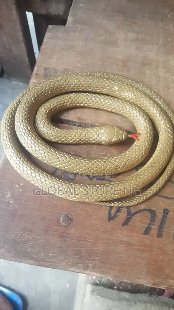 Rubber Snake