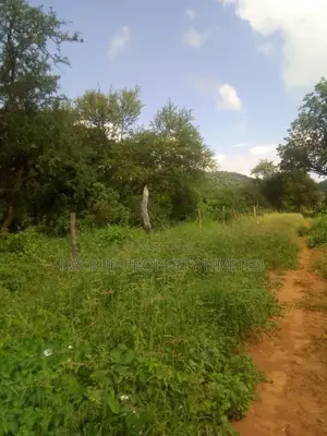 12 Acres of Land for Residential or Commercial Use