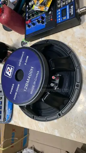 Professional 12” Inches Naked Speaker