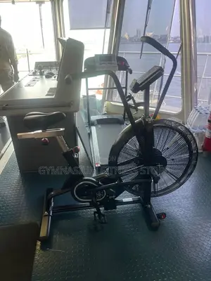 Commercial Assault Air Bike 002