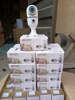 Dual View Wifi Pt Bulb Camera