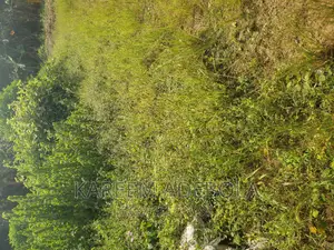 Commercial Land for Sale at Oniru Victoria Island Lagos