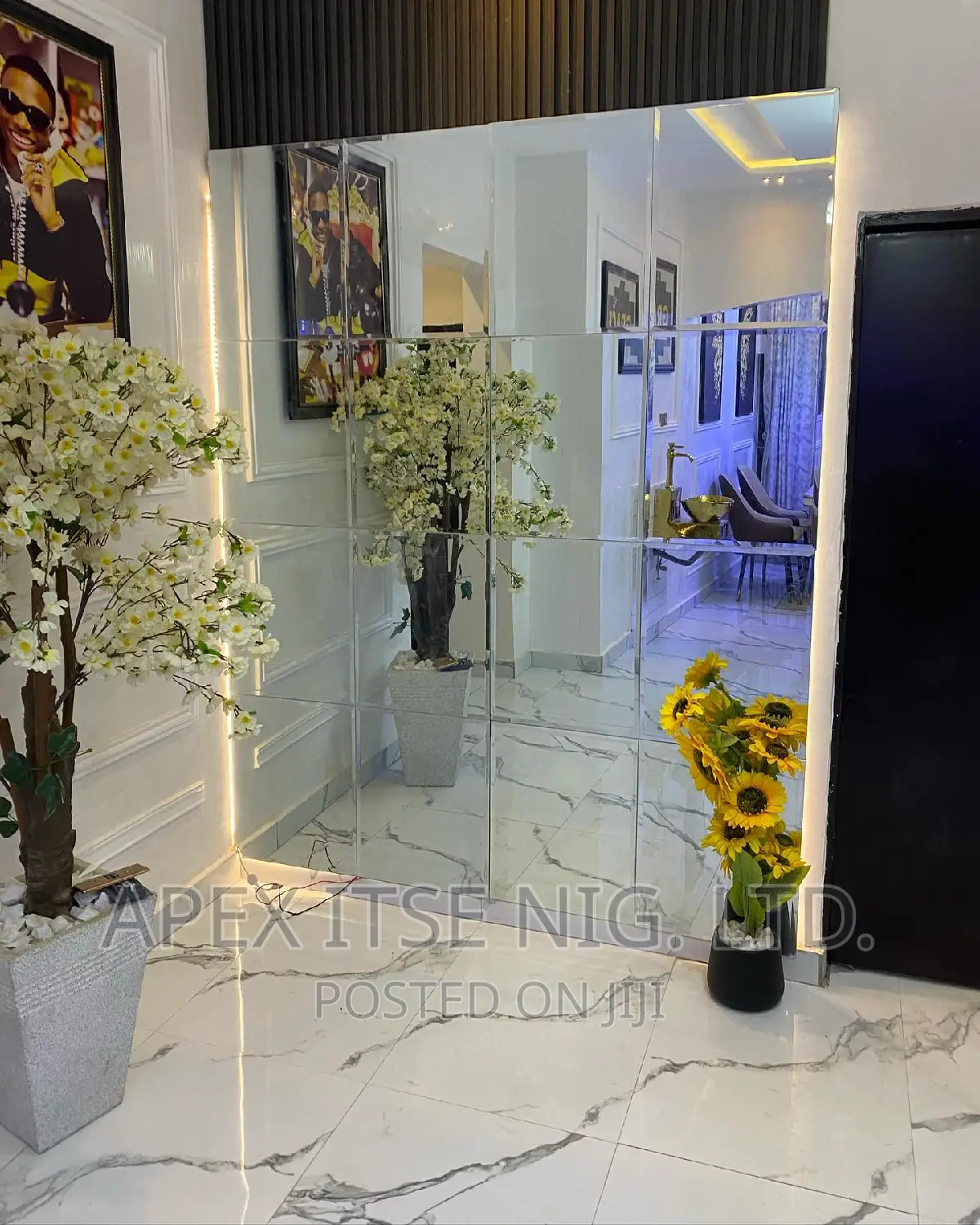 Full Package Mirror