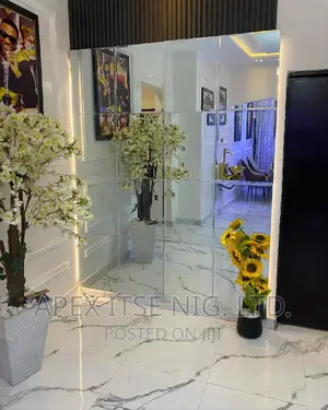 Full Package Mirror