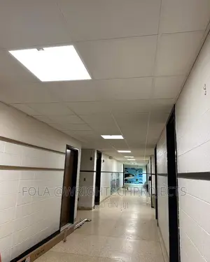 Affordable Ceiling Design