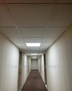 Affordable Ceiling Design