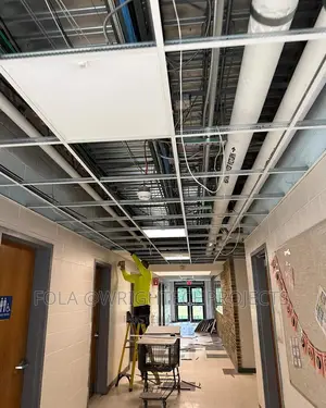 Affordable Ceiling Design
