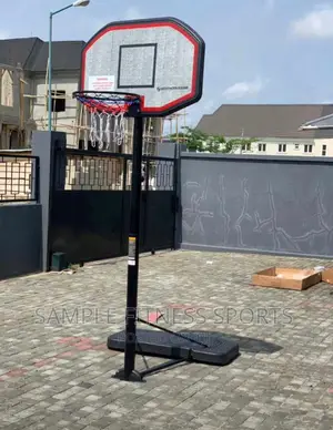 New Design Basket Stand and Ball