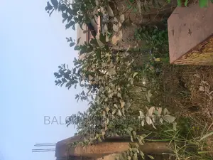 6bdrm Bungalow in Balofem Properties $, Abeokuta South for sale