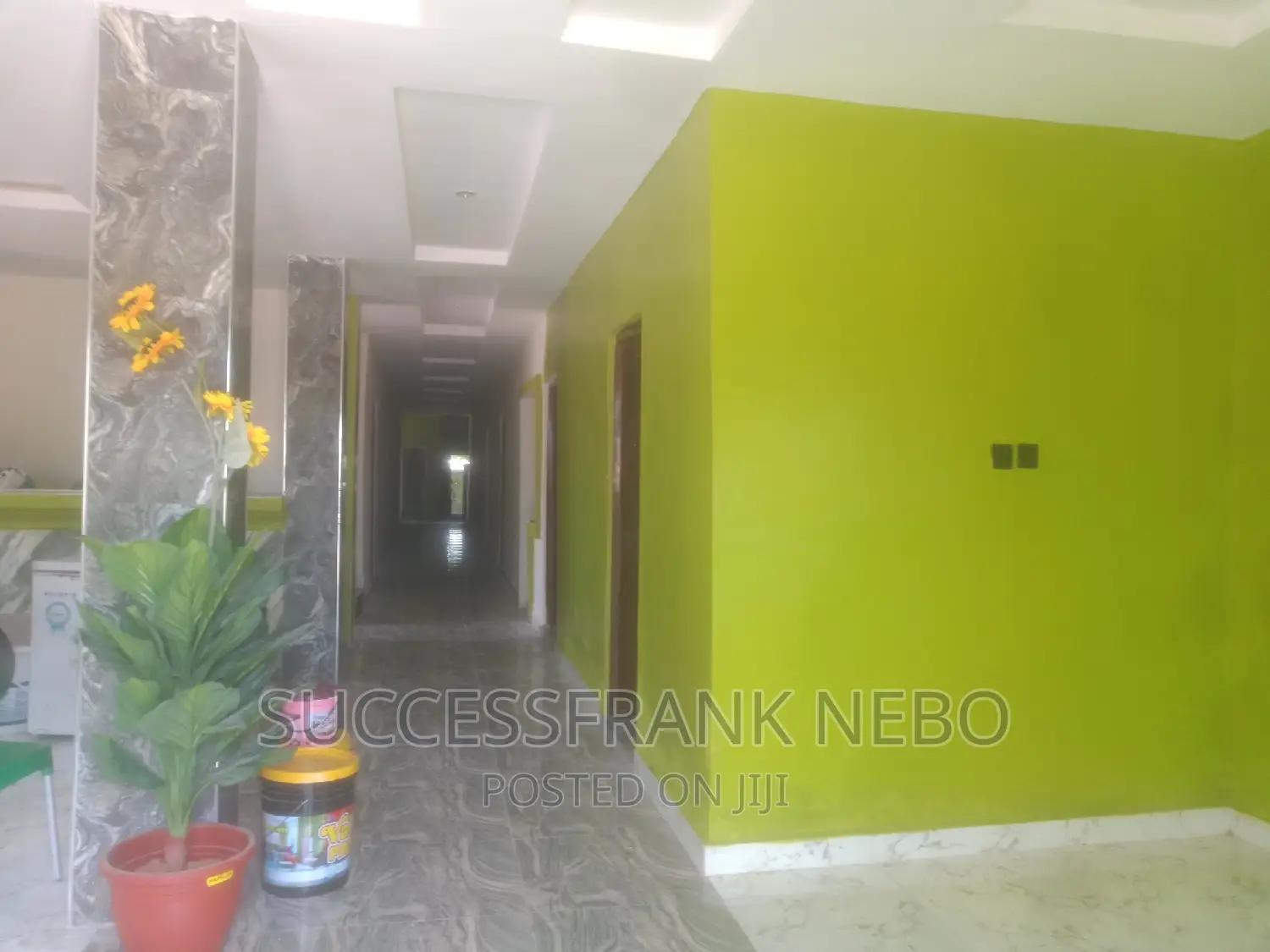 Painter (Certified)