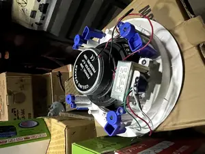 Lax 30watts Ceiling Speakers