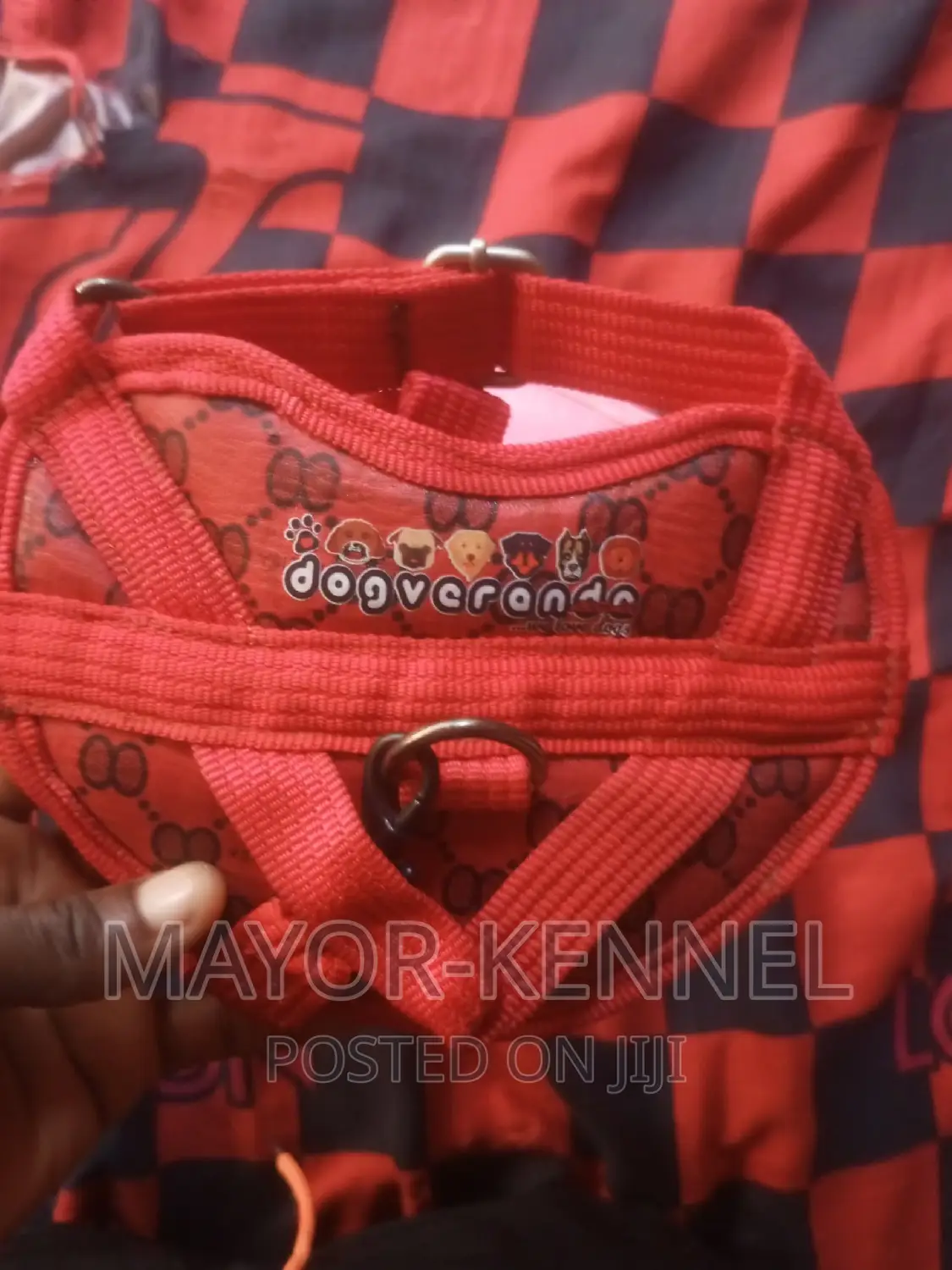 Pet Harness