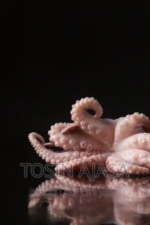 Fresh, Frozen Octopus Seafood