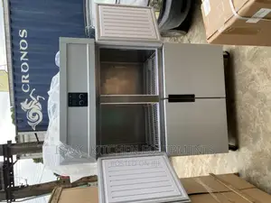 4door Industrial Freezer