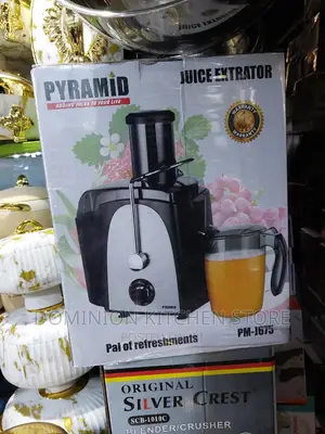 Pyramid Juice Extractor
