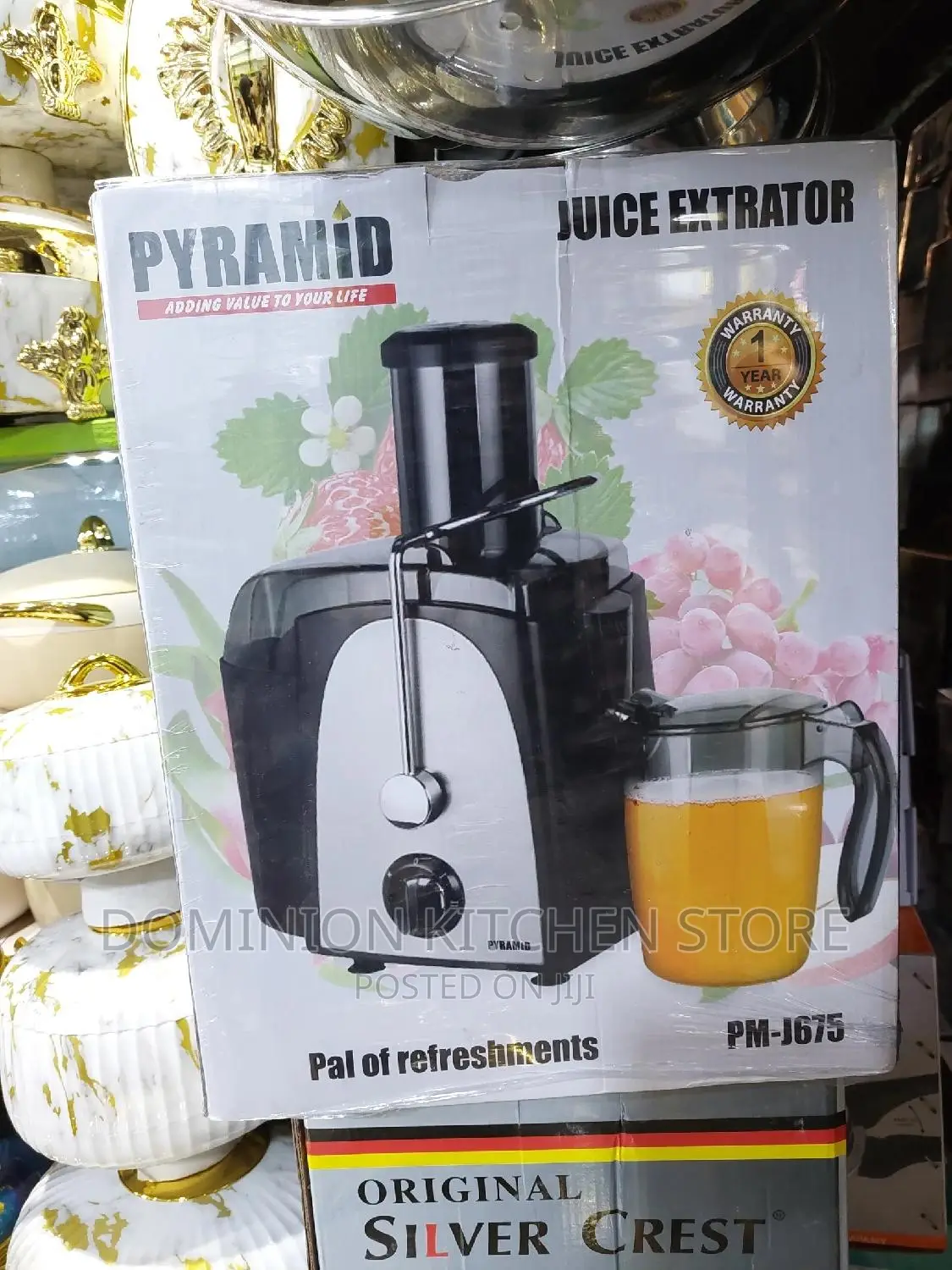 Pyramid Juice Extractor