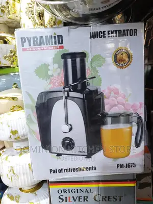 Pyramid Juice Extractor