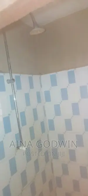 Photo - Mini Flat in Adamo, Ikorodu for rent