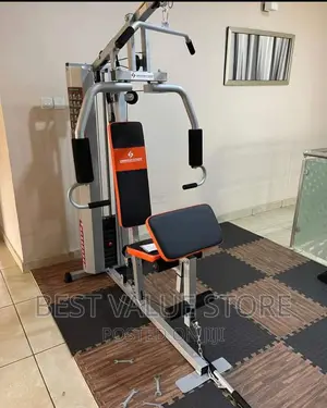 American Fitness 1 Station Gym With Back Cover