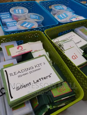 Montessori Language Phonogram Educational Literacy Reading