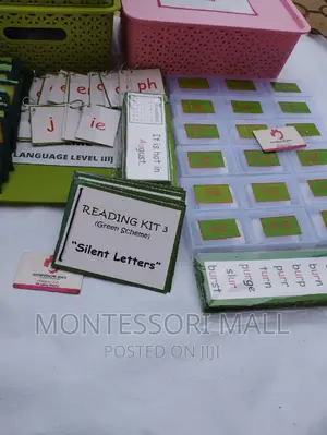 Montessori Language Phonogram Educational Literacy Reading
