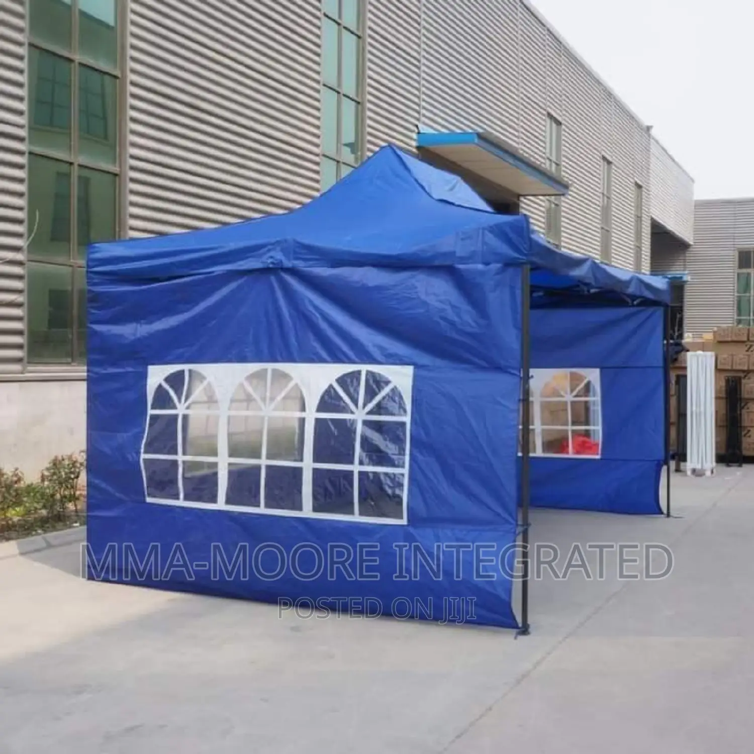 Foldable Canopy Tent With Cover and Windows