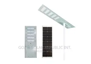 100w Internationally Recognized Solar Light