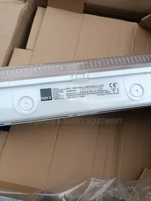 Emergency Light