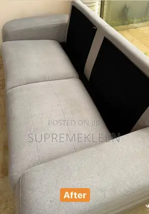 A Bit Of Professional Upholstery Cleaning Service