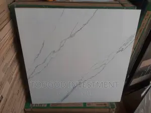 New Design Super Polish Tiles, for Parlour
