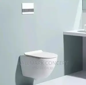 Executive Concealed Cistern