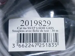 Cat6 a 30 Meters SSTP Cable