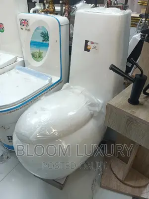 Egg Shaped Toilet