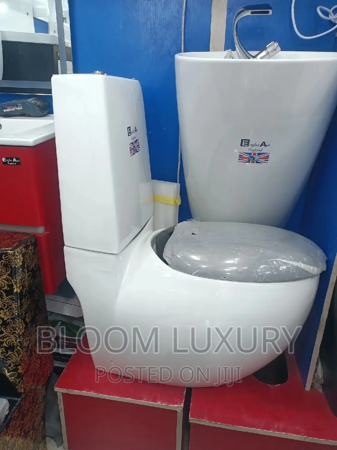 Egg Shaped Toilet
