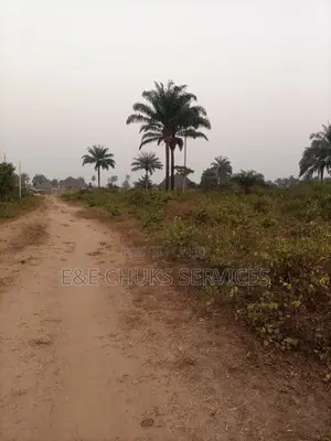 Buy and Build Over 5 Plots of Lands for Sale