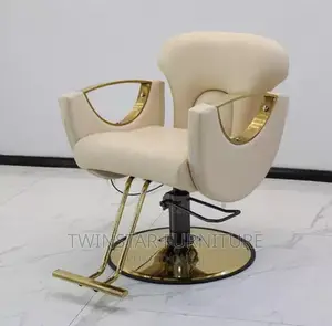 New Modern Luxury Saloon Chairs