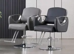 New Modern Luxury Saloon Chairs