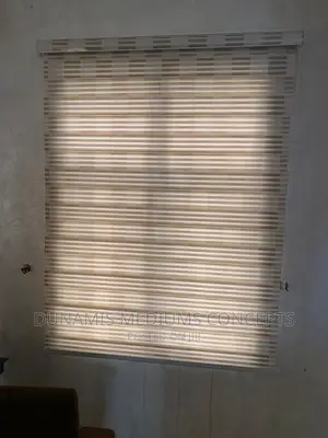 Day and Night Window Blinds.