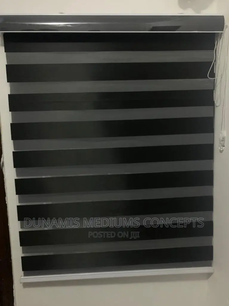 Day and Night Window Blinds.