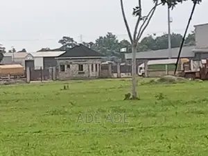 Sheep, Goad, and Chicken Carer Assistance