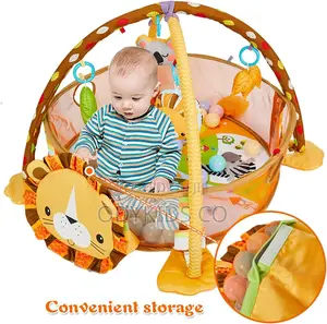Educational Baby Activity Mat Ball Pit - Unisex Play Gym