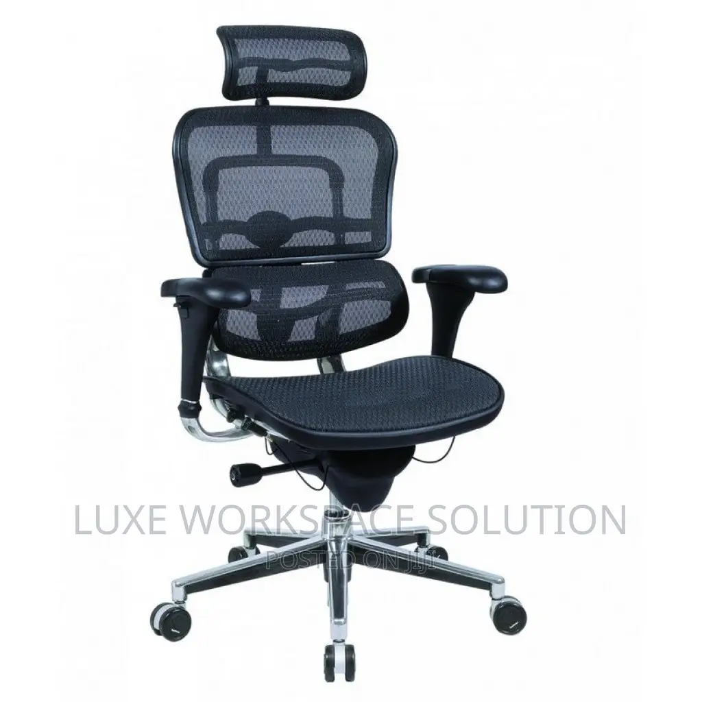 Ergohuman Executive Chair