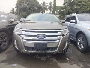 Ford Edge 2012 Brown