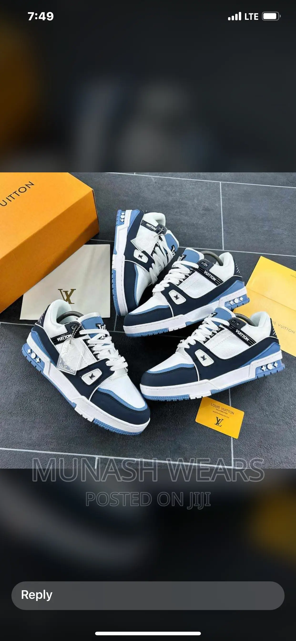 Louis Vuitton 2024 Model