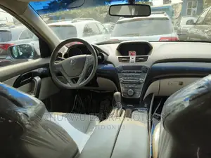 Acura MDX 2009 Gray