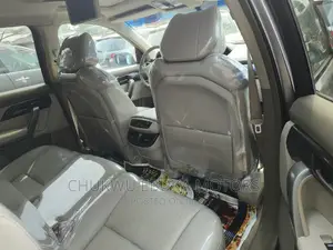 Acura MDX 2009 Gray