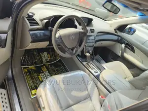 Acura MDX 2009 Gray