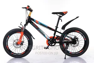 Great Vision 20inches Kids Bicycle