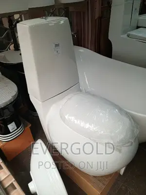 Italian Egg Shape Executive Water Closet With Original Flush