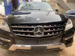 Mercedes-Benz M Class 2015 Black